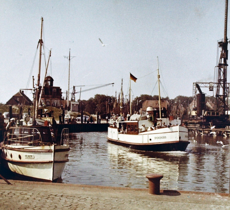 f8854