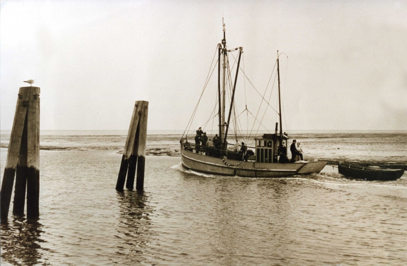 k1303