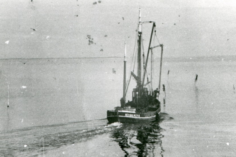 p201