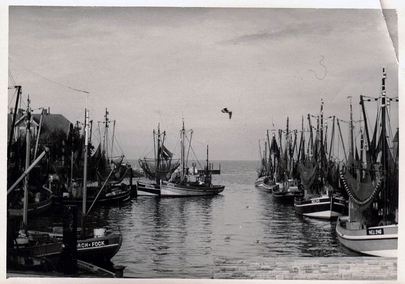 W194