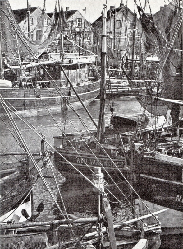k1196