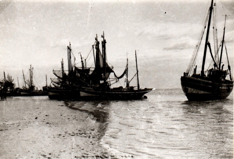 k1516