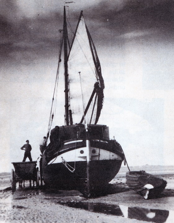 f595