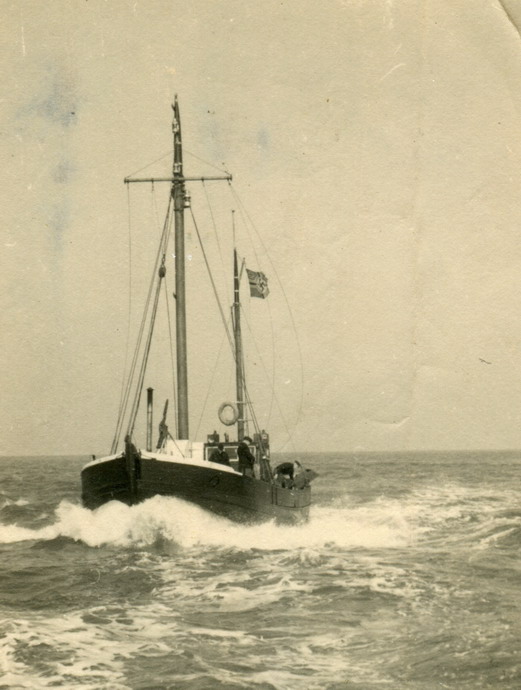 o11