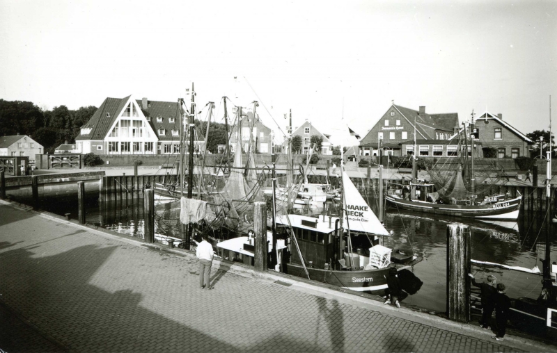 k1253