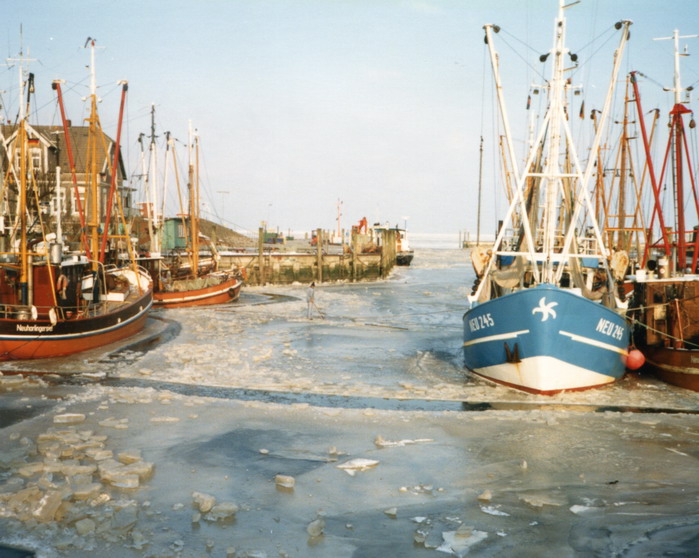 o41