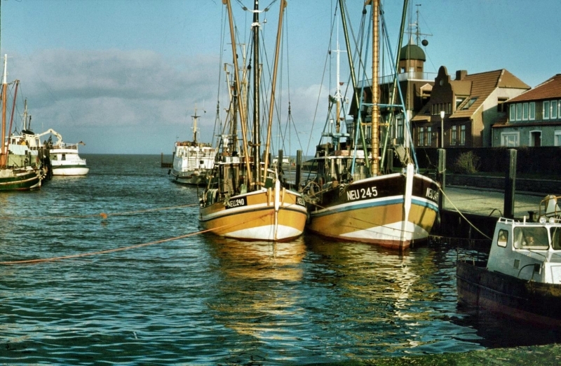 f5497