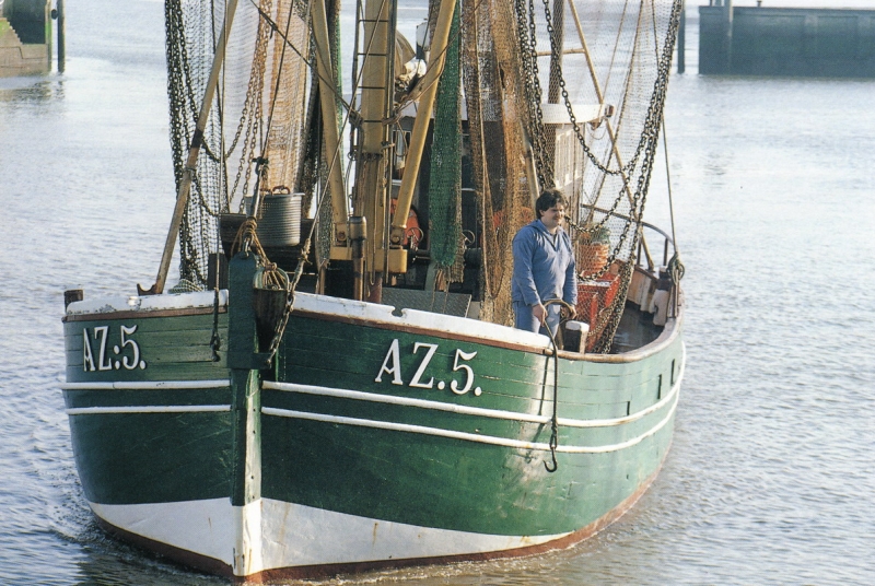 f6177