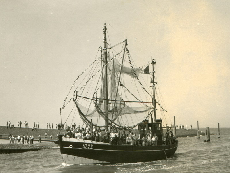 reg31