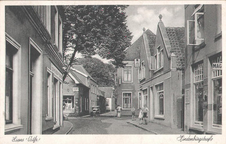 esens1(6)